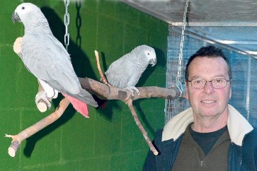 Neubau im Vogelpark Ambigua geplant