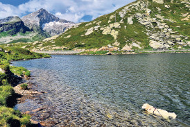 Ihr schönstes Sommerfoto in der NFZ 
