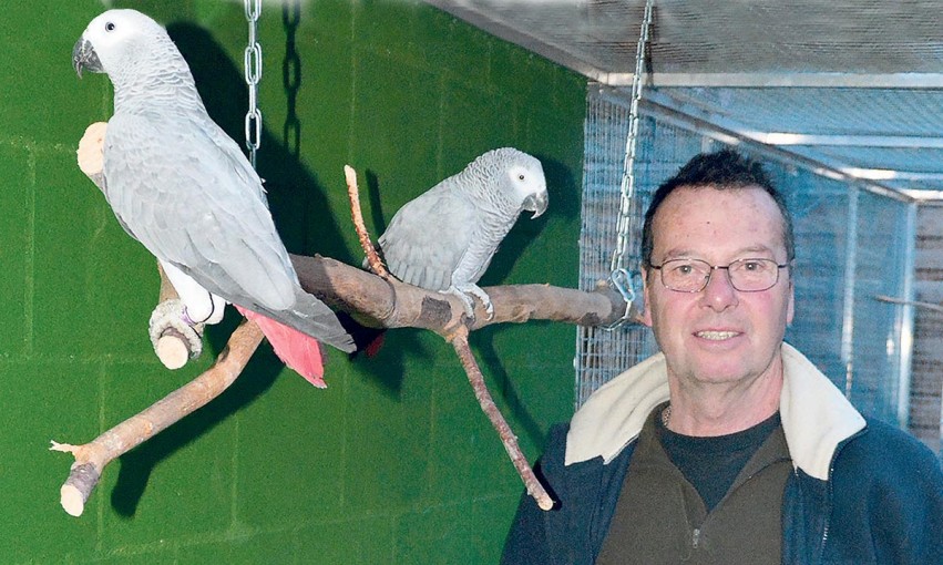 «Es kann nicht sein, dass wir einen Vogel nach dem anderen aufnehmen, aber keine finanzielle Unterstützung erhalten», erklärt Rolf Lanz.